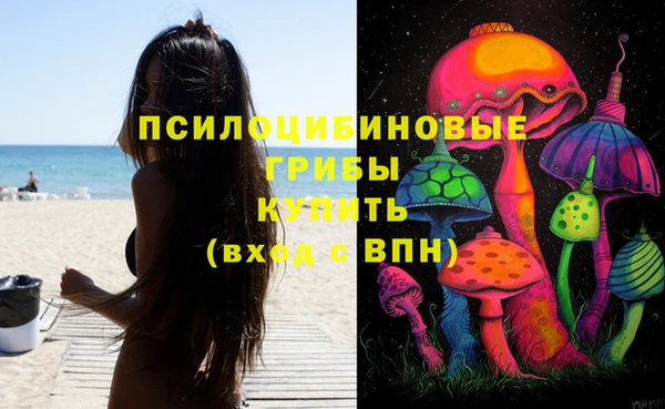 герыч Алзамай