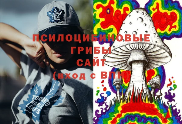 МДПВ Алексеевка