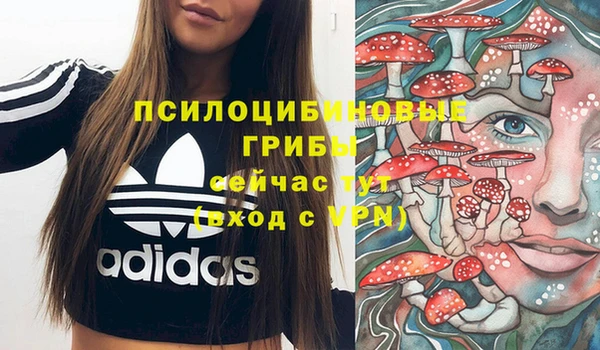 МДПВ Алексеевка