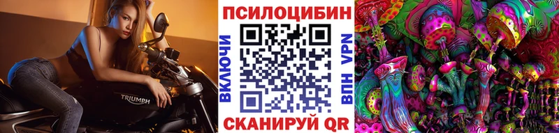 Галлюциногенные грибы Psilocybe  Петровск 