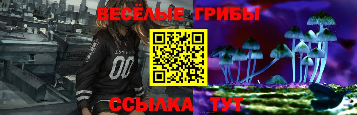 Псилоцибиновые грибы GOLDEN TEACHER Петровск